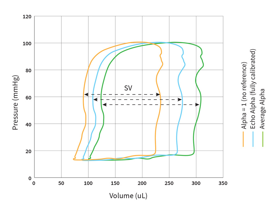 电导导管|α的影响对PV循环数据校准